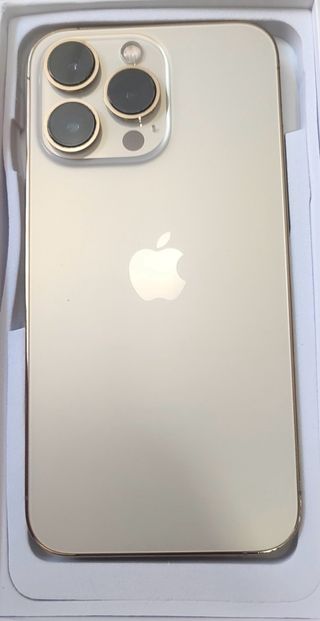 iPhone 13 Pro Oro 