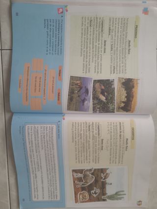 CIENCIAS DE LA NATURALEZA 4