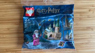 LEGO Harry Potter Dumbledore Polybag 30435