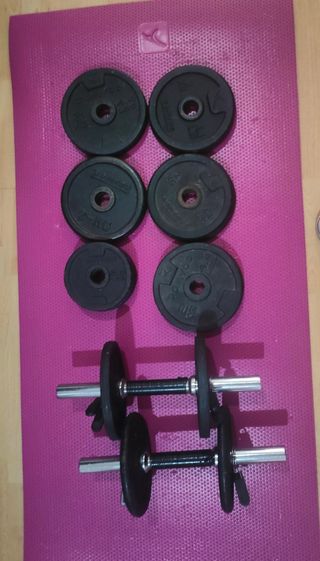 Mancuernas con discos (2 barras + 32 kg en discos)