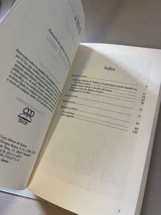 Bajarse al moro (Spanish Edition)