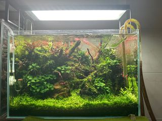 Luz Acuario Chihiros WRGB 2 45cm