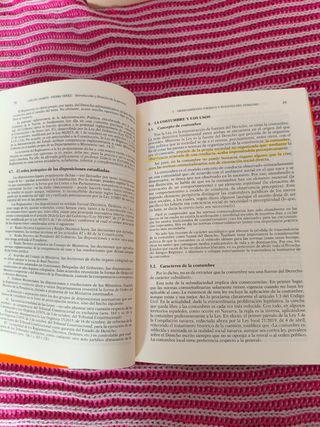 Principios de Derecho civil T.I: Tomo I: Introd...