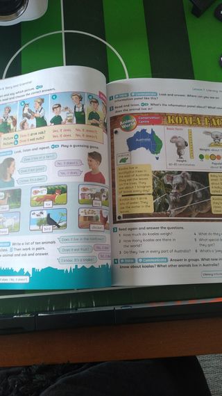 Amazing Rooftops 4. Class Book