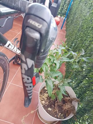 Bicicleta Giant TCR Advanced SL Talla M