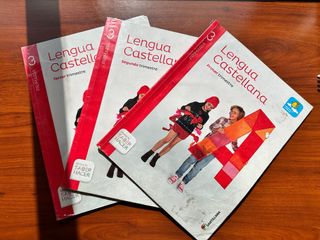 libros Lengua Santillana 3 primaria lote 3
