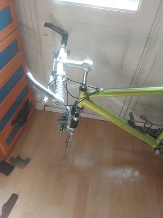 Bicicleta verde