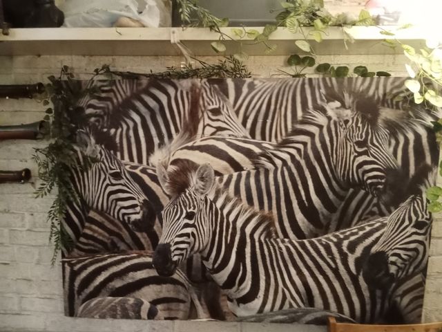 Lienzo de cebras en blanco y negro