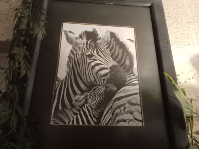 Lienzo de cebras en blanco y negro