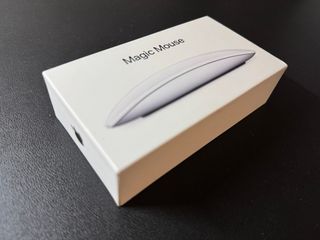 Apple Magic Mouse conector Lightning