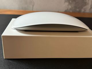 Apple Magic Mouse conector Lightning
