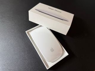 Apple Magic Mouse conector Lightning
