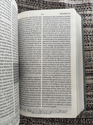 Biblia RVR 1960 promesas letra grande