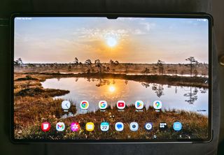 Samsung Galaxy Tab S9 Ultra 1TB Gris