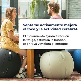 Pelota Silla Escritorio 55cm