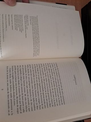Martín Ojo de Plata: La gran saga del Siglo de ...