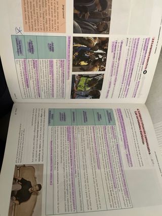 Lengua castellana y Literatura 1 Bachillerato (...