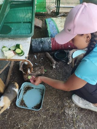 Paseadora y cuidadora de mascotas 