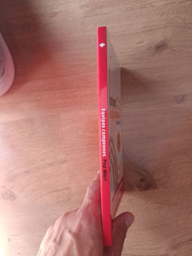 Equipos campeones: Cómo convertir un buen equip...