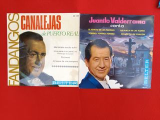 Lote 67 Discos Vinilo Flamenco