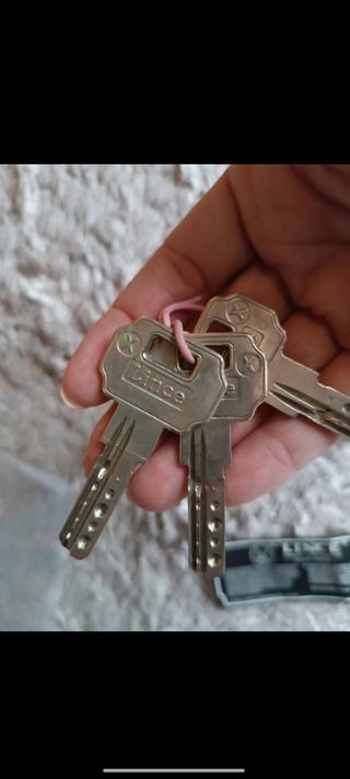Cerradura Lince para puerta 