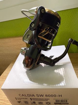 Carrete Daiwa Caldia SW 8000 H