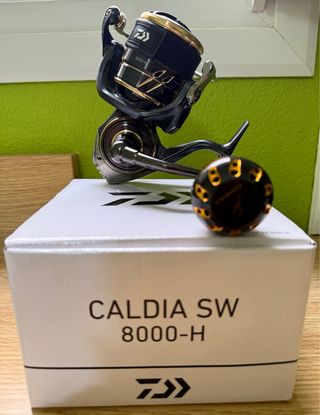 Carrete Daiwa Caldia SW 8000 H