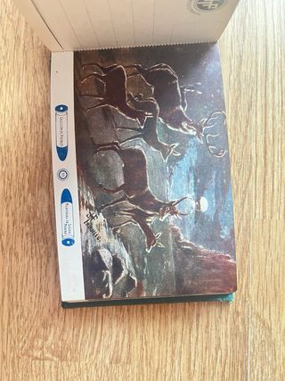 Colección Postales Antiguas Monterías en Sierra Mo