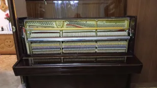 Piano PETROF