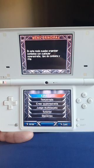 Smackdown VS Raw 2009 Nintendo DS