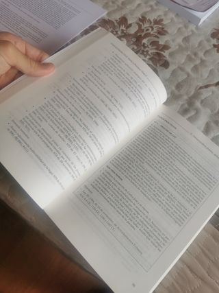 Guía de Derecho Civil. Teoría y práctica (Tomo ...