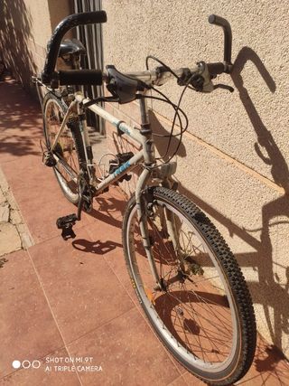 Bicicleta Cuadro Trek