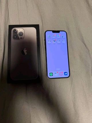 iPhone 13 Pro Max Gris/Plateado