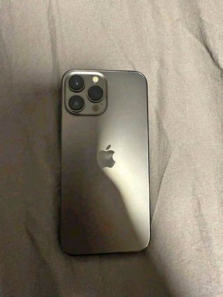 iPhone 13 Pro Max Gris/Plateado