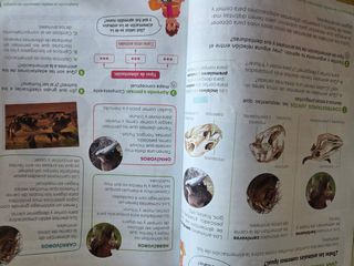 Ciencias de la naturaleza. 3 Primaria. Revuela....