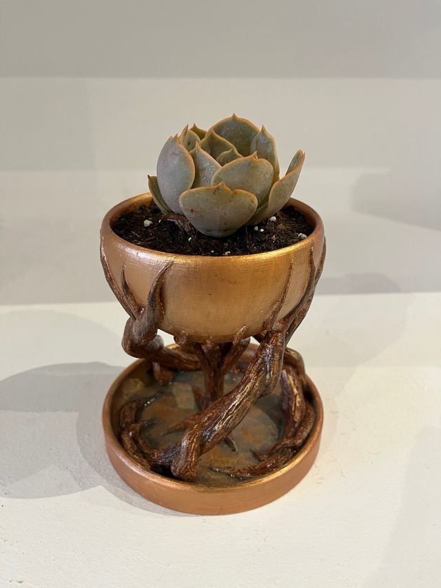 Macetero de interior decorativo 3D