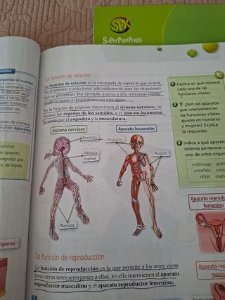 Ciencias de la Naturaleza 4º Primaria