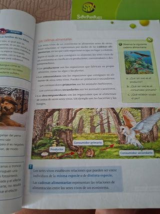 Ciencias de la Naturaleza 4º Primaria
