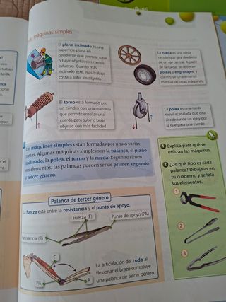 Ciencias de la Naturaleza 4º Primaria