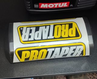 Esponja Pro Taper