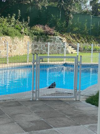 30m Valla Metálica Blanca para Piscina