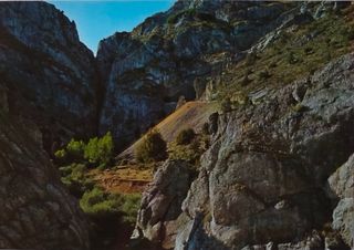 Lote de postales antiguas