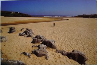 Lote de postales antiguas