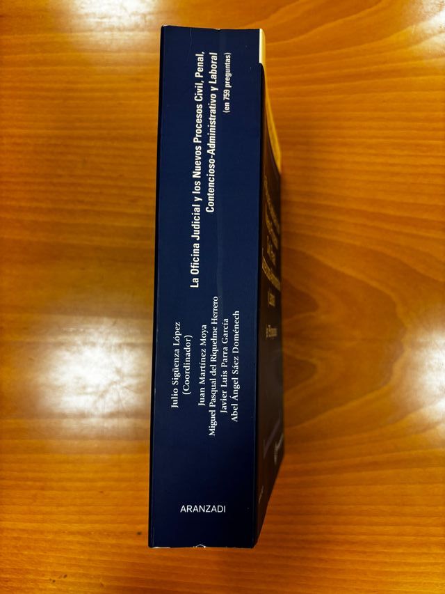 La oficina judicial y los nuevos procesos civil...