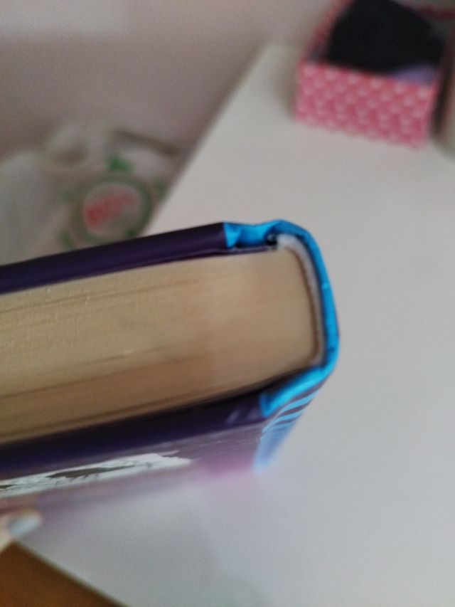 Diario de Greg 13 - Frío fatal (Spanish Edition)