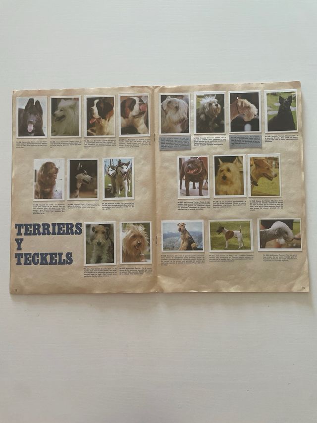 Album de cromos ME QUIERES Completo