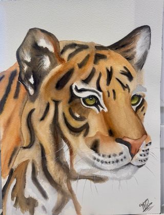 Lámina acuarela tigre