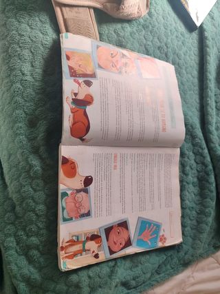 Lengua Castellana y Literatura . 1 Secundaria. ...