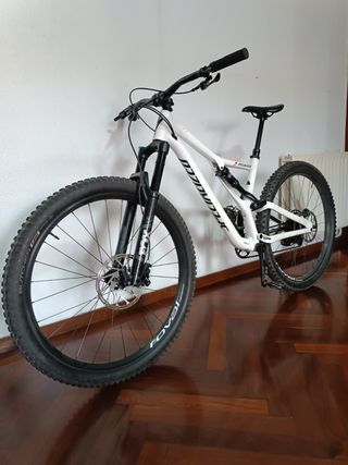 Specialized Stumpjumper 2020 29