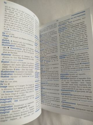 Dico: diccionario didáctico de francés : francé...